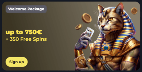 Bonus & Promo code Felixspin Casino